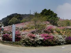 -广州市石门国家森林公园