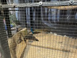 -酷嗒动物文化乐园(cutezoo西溪乐天城店)