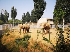 -石家庄市动物园