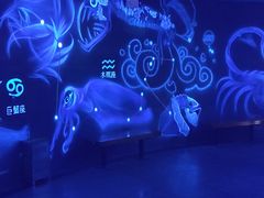 -海合安武汉极地海洋公园