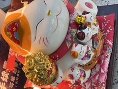-美可普口腔医院(东街分店)