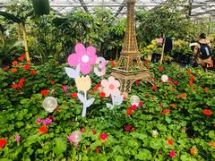 -南宫五洲植物乐园