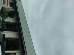 -星湖愉景酒家