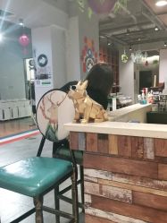 -东尚style造型