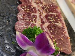 -千寻山野烤肉(中关村店)