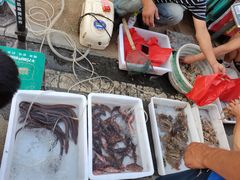 -青岛银沙滩
