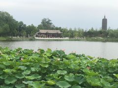 -西海子公园