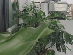 -古耳咖啡(北锣店)