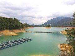 -广州市流溪河国家森林公园