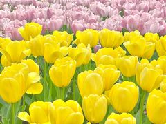 -玄武湖景区-情侣园游乐场