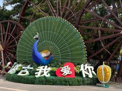 -呀路古热带植物园