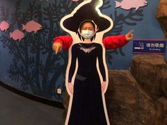 -烟台海昌鲸鲨海洋公园