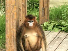-上方山森林动物世界