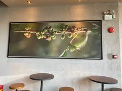 -星巴克臻选(上海长风大悦城店)