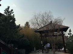 -徂徕山森林康养度假谷温泉