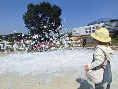 -金石滩蓝莓谷庄园