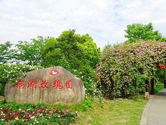 -鹅湖玫瑰文化园