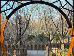-太阳宫公园