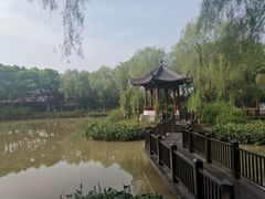 -瀛洲公园