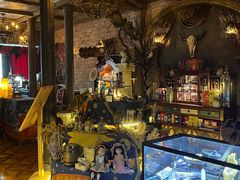 -雪灵魔法世界SHELLY’S TAROT(大良桂畔里店)