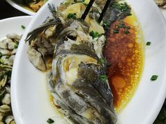 -金海湾海鲜排档(朱家尖店)