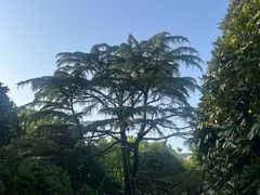-上海虹桥迎宾馆