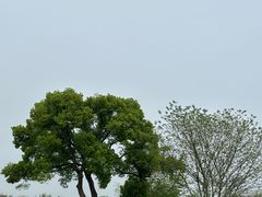 -良渚古城遗址公园