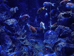 -成都浩海立方海洋公园