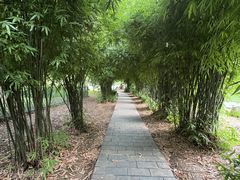 -堤角公园