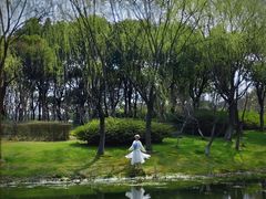 -尚贤河湿地