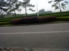 -同济大学(嘉定校区)