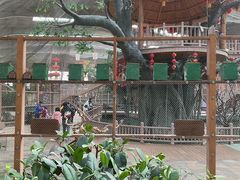 -南宫五洲植物乐园