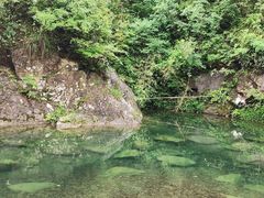 -宁波五龙潭景区