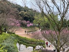 -重庆彩云湖湿地公园