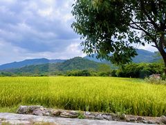-广东天露山旅游度假区