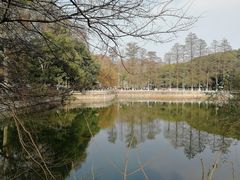 -武汉大学-樱园