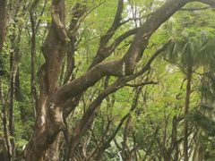 -人民公园(罗湖区)