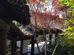 -杭州半山国家森林公园