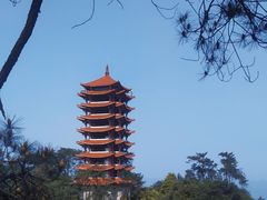 -缙云山景区