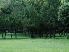 -人民公园(罗湖区)