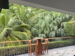 -日落吧·海景咖啡厅·餐酒吧·鸡尾酒·下午茶·乐队表演·浪漫夕阳·三亚文华东方酒店