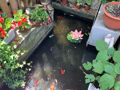 -老洋房花园饭店(绍兴路店)