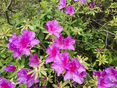 -上海市龙华烈士陵园