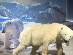 -抱抱地球咖啡馆(国家海洋博物馆店)