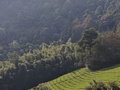 -敬亭山风景名胜区