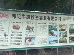 -伟记牛蹄(道滘店)