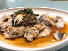 油淋鲜椒多宝鱼 -时间里·新派粤菜(远洋店)