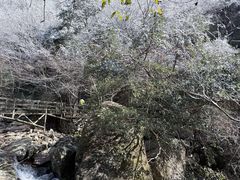 -东天目山风景区