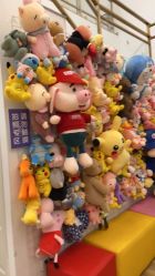 -YESIDO椰岛造型