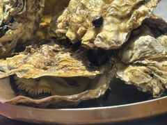 -蚝堡海鲜·威海菜·海肠捞饭·烧烤·亚洲吃蚝公司(幸福门店)